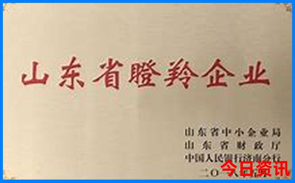 中国十大旅行社排名